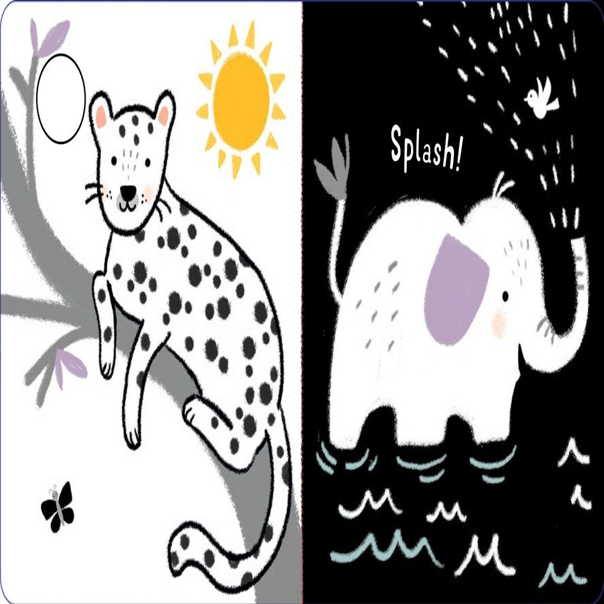 Babys Black White Animals