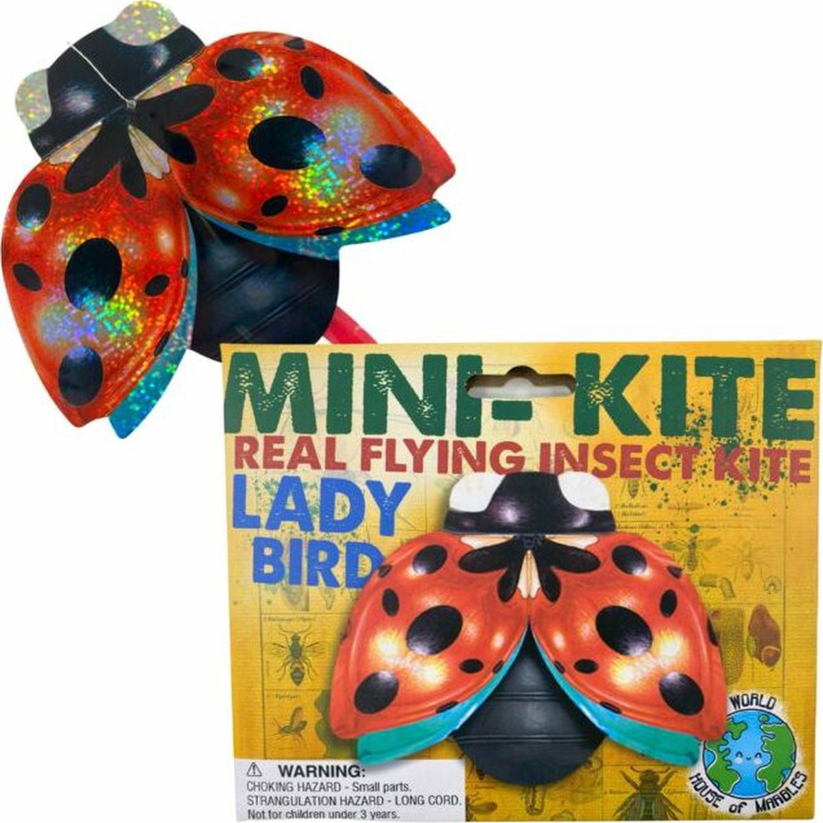 Ladybug Insect Kite