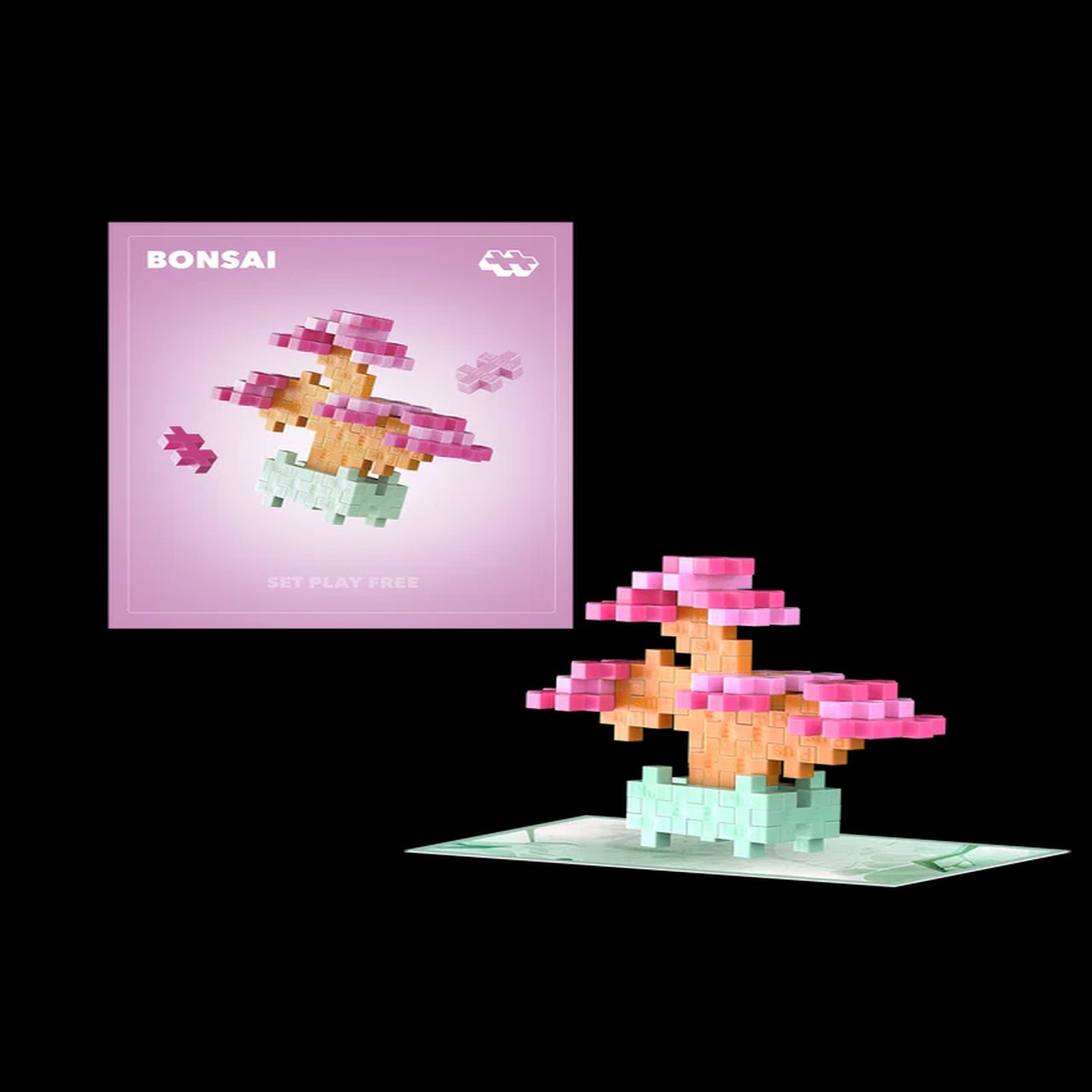 Plant Pack – Blissful Bonsai