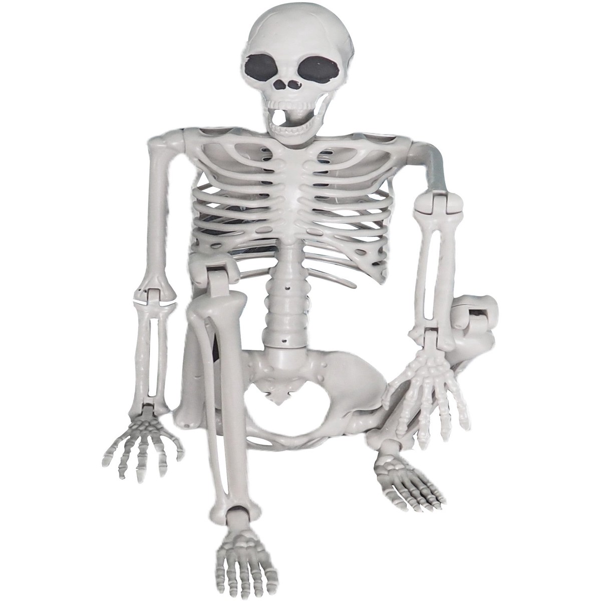 Lifesize Hanging Skeleton Prop