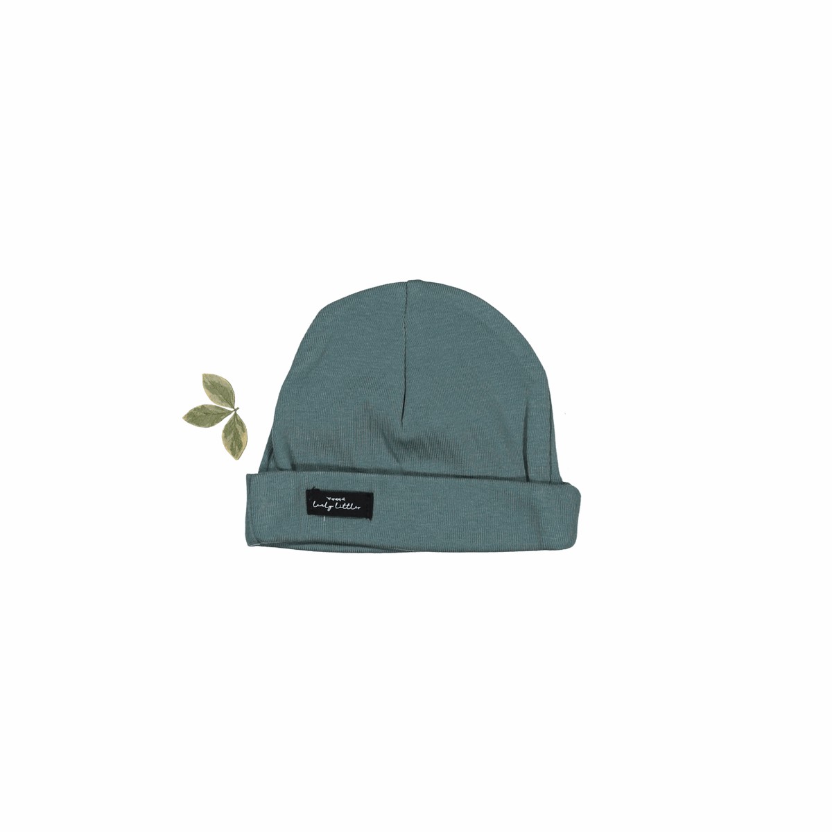 The Hat – Fern
