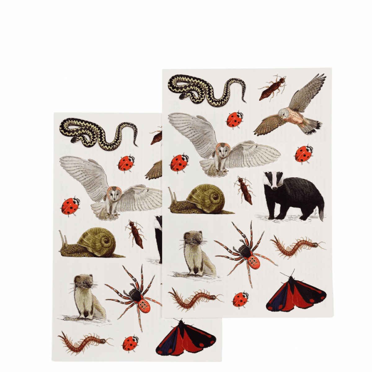 Nature Trail Temporary Tattoos